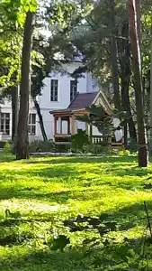 Красный Бор - 47