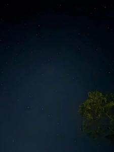 Радужная - 24