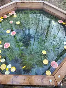 Лесная сказка - 47