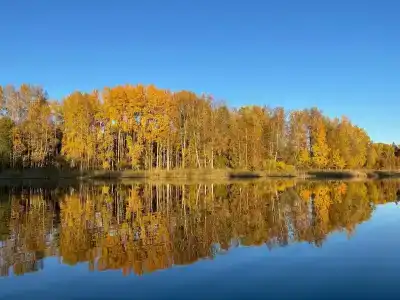 Мыс Черемуховый - 14