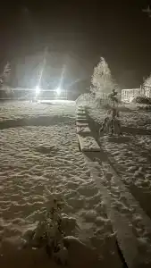 Ильинка лес - 23