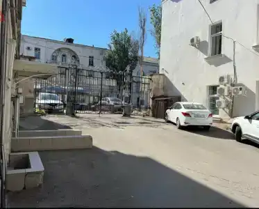 Лайк - 13