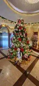 Prince Palace - Sha Extra Plus - 6