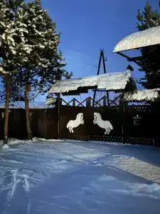 Золотой Полоз - 40