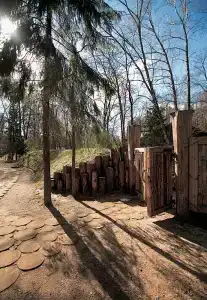 Младшая сестра - 5