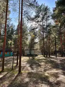 Лотос - 25