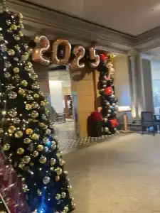 Grand Hyatt Istanbul - 56