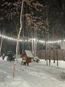 Магия леса - 22