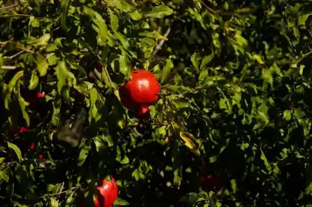 Под крепостью - 64