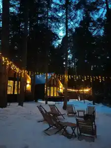 Barn&Wood - 83