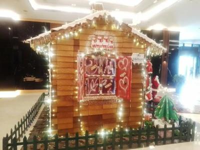 Hilton Istanbul Maslak - 12