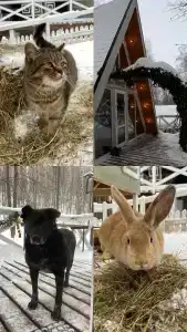 Отдыхаево - 20
