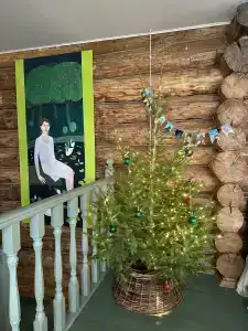 Рубиновый дом с баней - 11