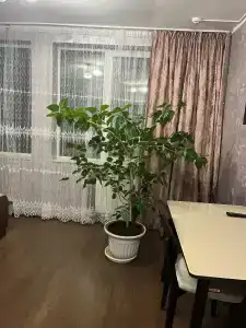 Уют - 5