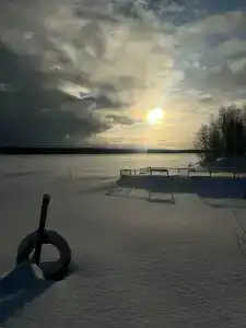 Лесная - 20