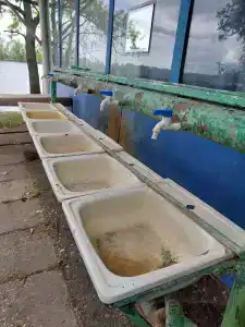 Чардым-Дубрава - 44