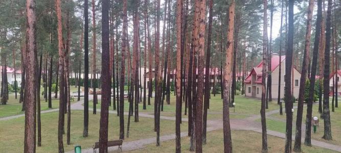 Энергетик - 77