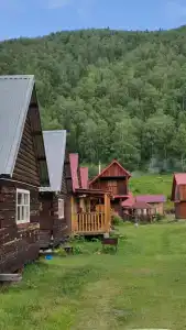 Золотая пчела - 48