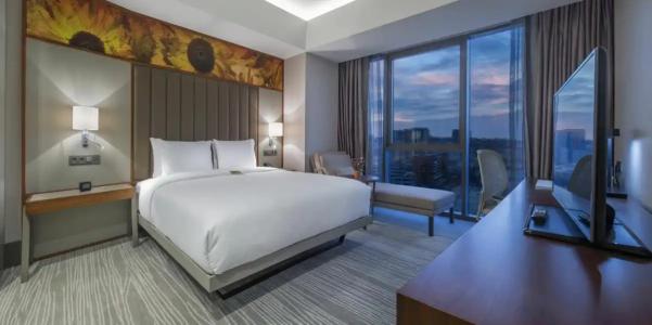 Hilton Garden Inn Istanbul Atatürk Airport - 34