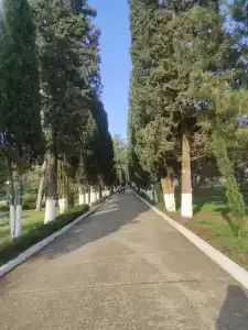 Пионер - 41