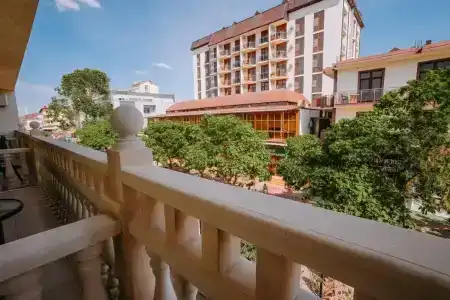 Горгиппия - 42