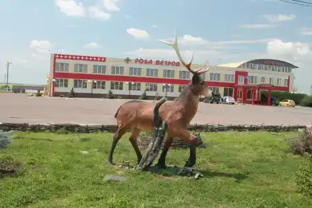 Роза ветров - 20