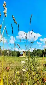 Глэмпинг Zefirka Camp - 98