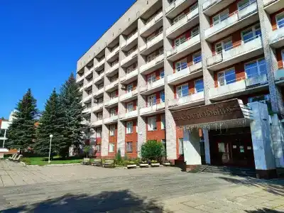 Березовая роща - 1