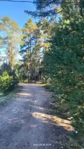Стеклянный берег - 90