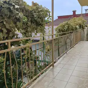 Бархат - 2