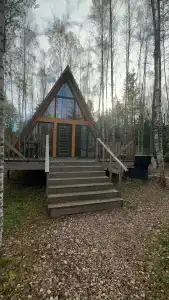 Лесная сказка - 83