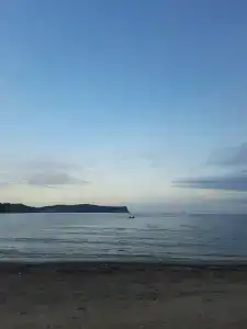 Зелёная полянка - 60