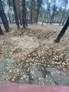 АО Тамбовкурорт - 32