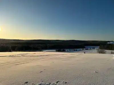 Два Мороза - 15
