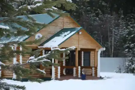 Зеленый Бор - 2