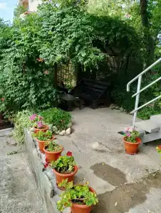 Золотая рыбка - 4
