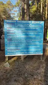 Боровое - 44