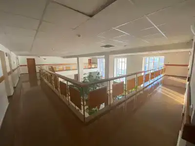 Сона - 12