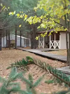 Пчелинцево - 27