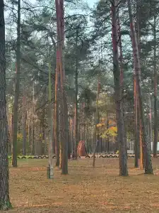 Белое озеро - 58