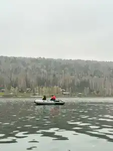 Прилесье - 37