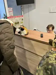 Циркон - 48