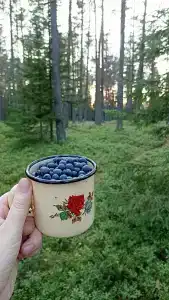 Упп5 - 11