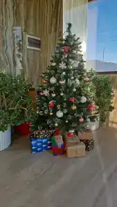 Астерия Меганом - 23