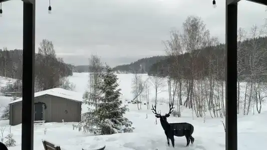 Карельские Лага - 35