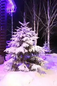 Куртюга - 34