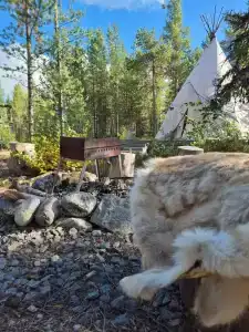 Глэмпинг Гиперборея - 47