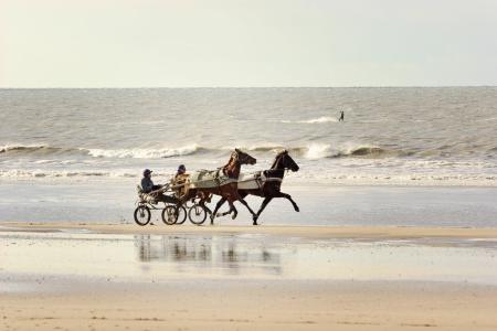 ibis Deauville Centre - 9