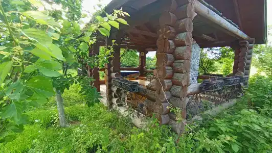 Ноев Ковчег - 22