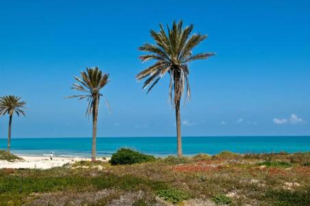 Ulysse Palace Djerba Resort & Thalasso - 10